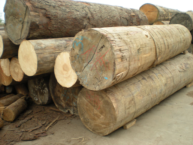 �Fɼԭľ��Ԕ��(x��)��B