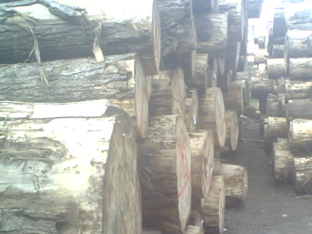 ��ľԭľ����ĵ�Ԕ��(x��)��B