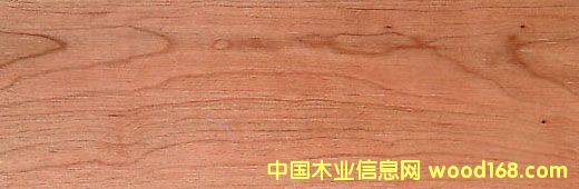 ����(gu��)����,����(gu��)�ڙ���