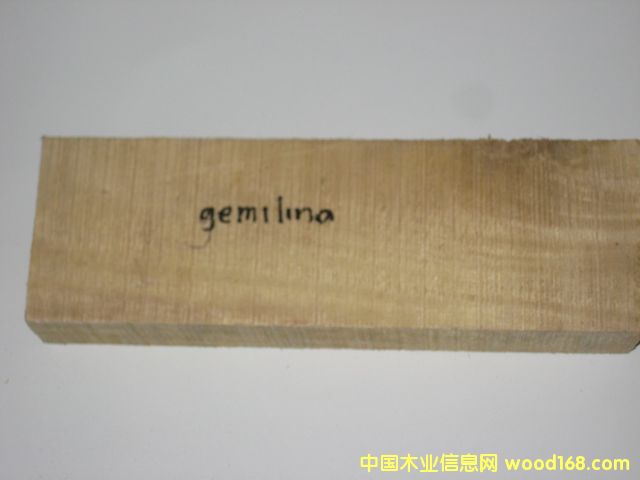 ����ľ��GMENILA����Ԕ����B