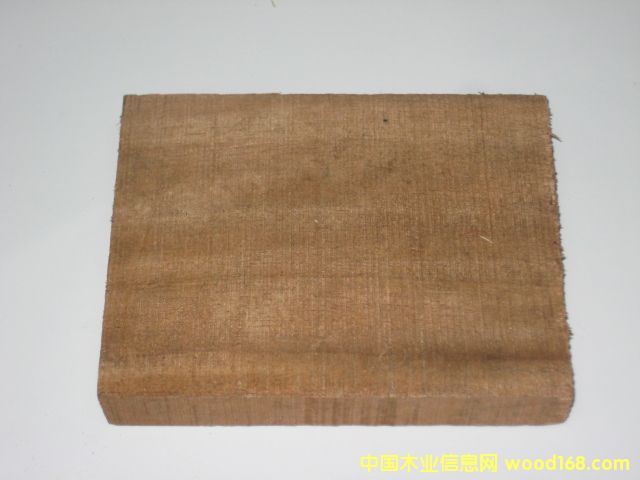 ��˼ľ��ACASIA MAGIUM����Ԕ����B