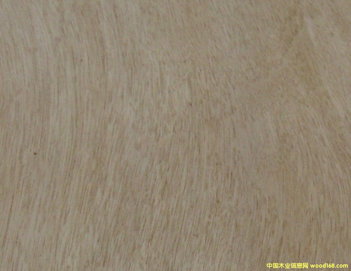 �S˨��Ԕ��(x��)��B