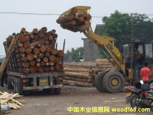 ��ɽľ�����l(f��)��Ԕ��(x��)��B