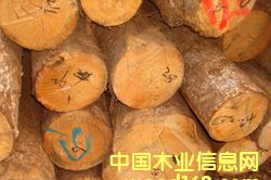 �������ɵ�Ԕ��(x��)��B