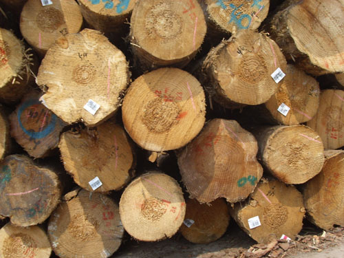 ����ľ�ĵ�Ԕ��(x��)��B