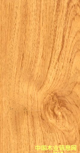 �G��ذ�-���װ�ϵ�е�Ԕ��(x��)��B