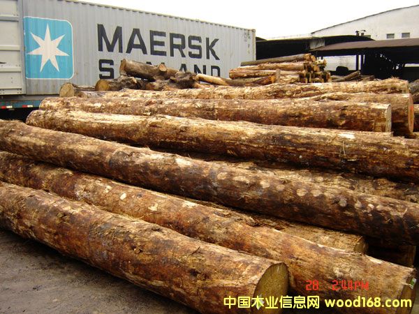 ݗ���ɵ�Ԕ��(x��)��B