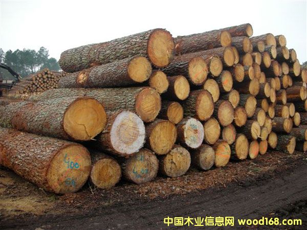 ����(gu��)�����ɵ�Ԕ��(x��)��B