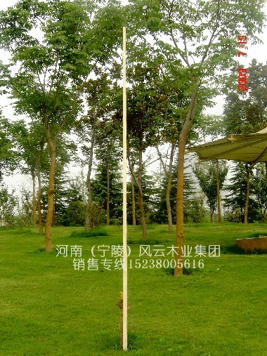 ����4.8��̫�O��U/���̫�Oʮ���U/���y(t��ng)��Ϟ��U 