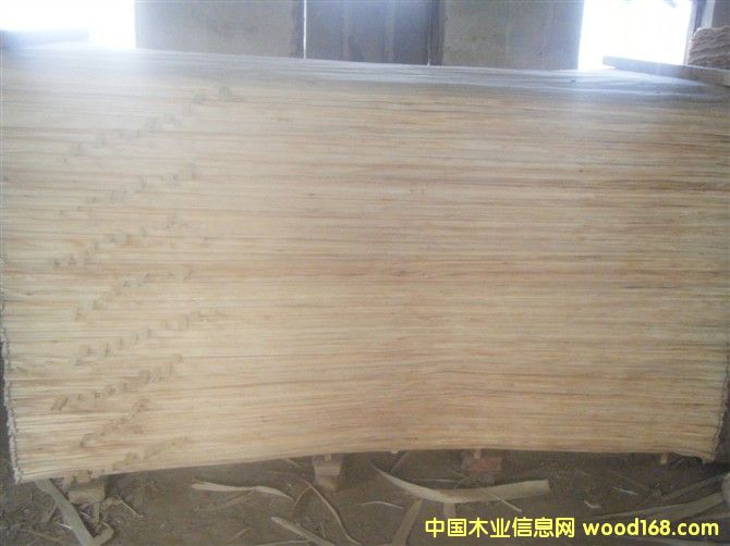 ��ľƤ��Ԕ��(x��)��B