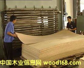 ��Ƥ��Ԕ����B