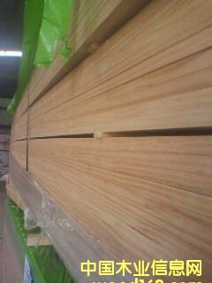 ݗ���ɵ�Ԕ��(x��)��B