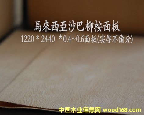 ��������Ԕ��(x��)��B