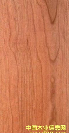 FSC����ľ��Ԕ��(x��)��B