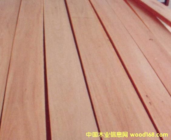 FSC����Ԕ��(x��)��B