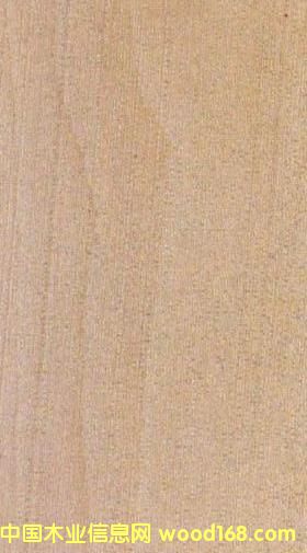 FSC��ͩľ��Ԕ��(x��)��B