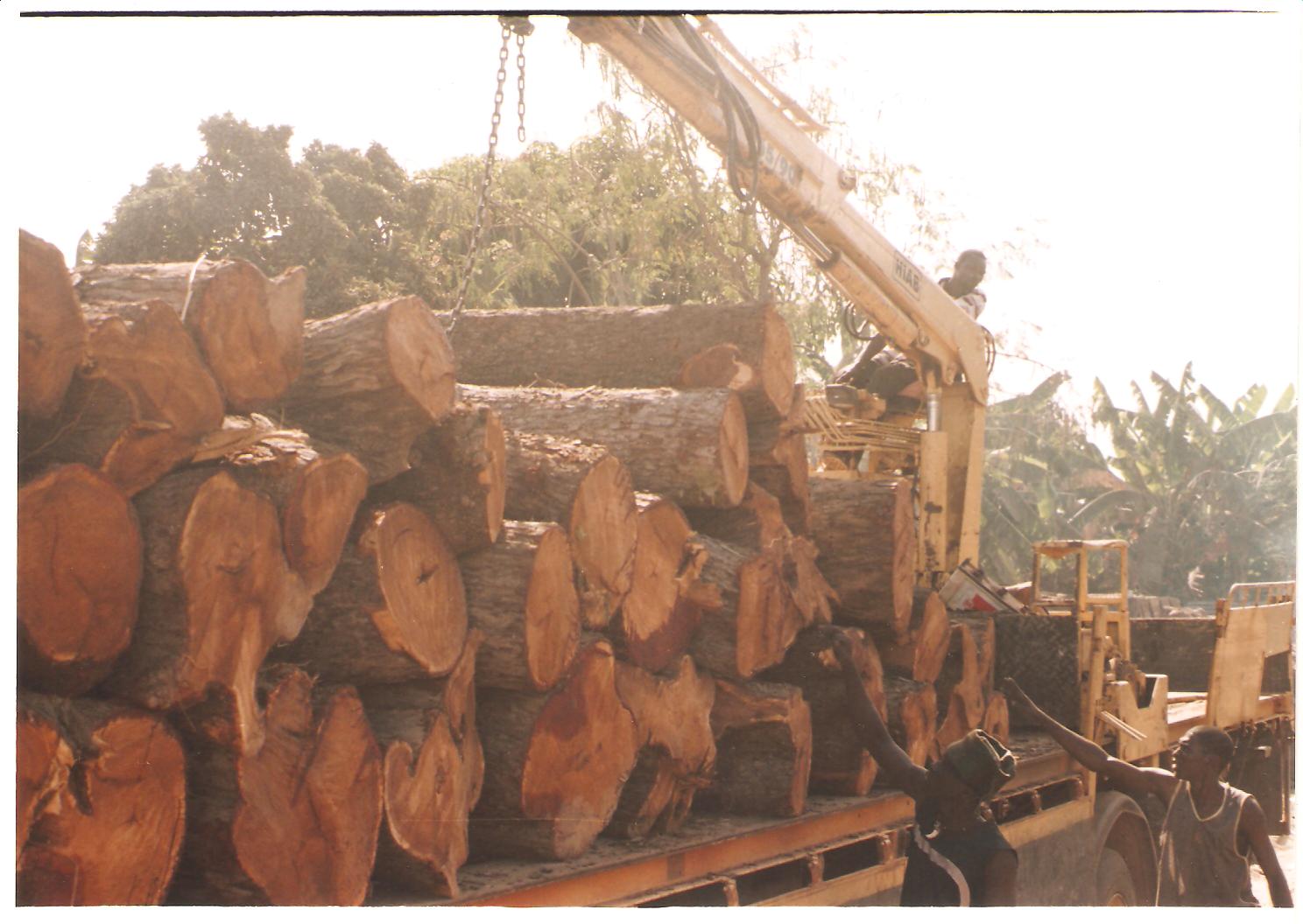 ���ǁ������Ԕ��(x��)��B