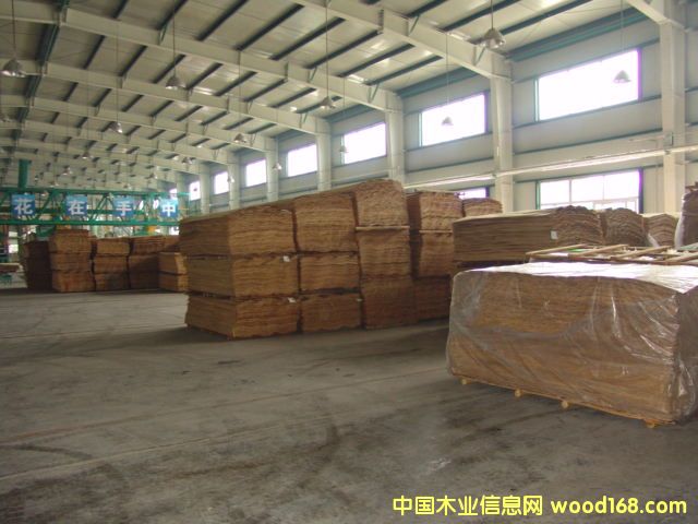 ��ľ�ΰ��Ԕ��(x��)��B