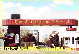 ���ܶ��w�S���Ԕ��(x��)��B