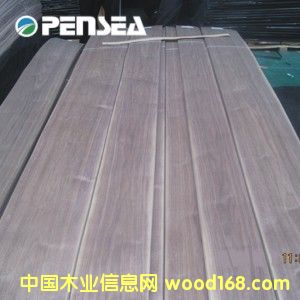 �ں���ľƤ��Ԕ����B