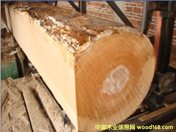 �W�ޙ�ľ��Ԕ��(x��)��B