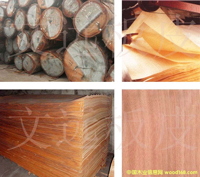 չʾ��Ԕ��(x��)��B