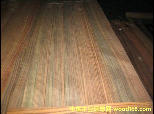 ��̴ľƤ��Ԕ��(x��)��B