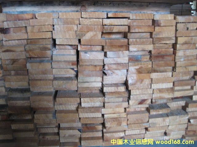 �Fɼ�ߵȼ�����