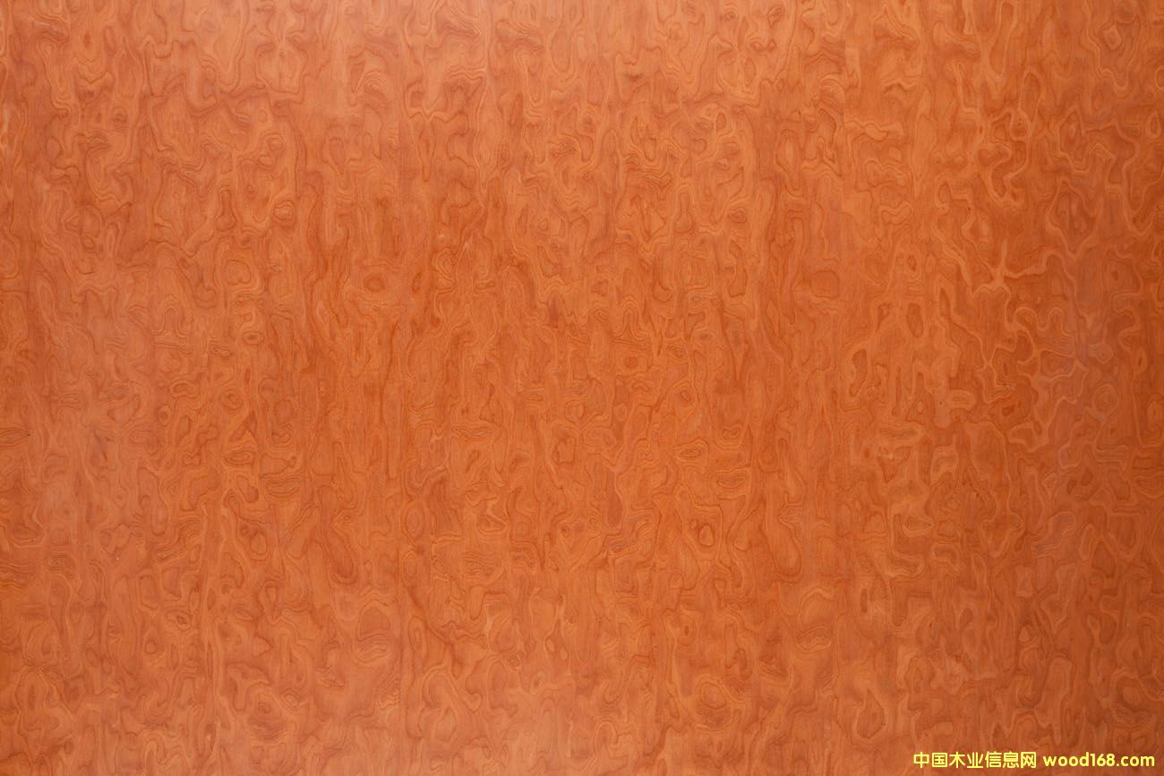 �����Ԕ����B