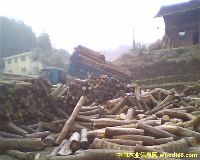 �ӹ��S��(sh��)����Ԕ��(x��)��B