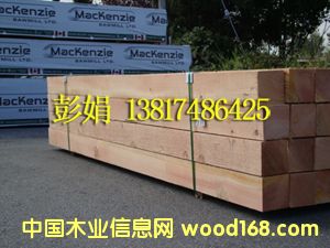 �����ɰ�ĵ�Ԕ��(x��)��B