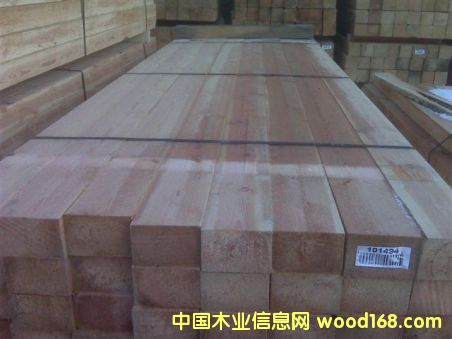 ��ľ��Ƭ��Ԕ��(x��)��B