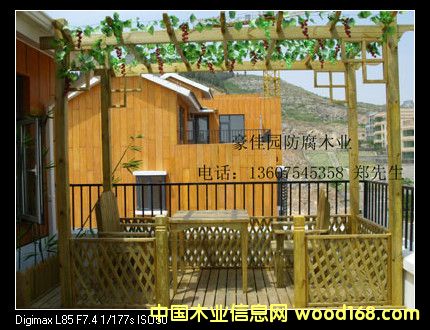 ��������ľ����