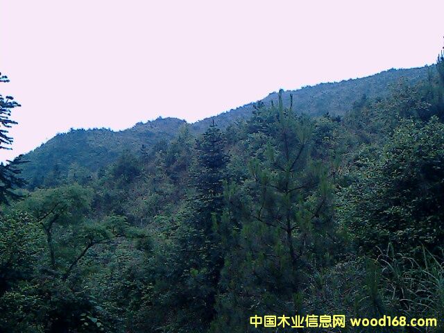 �ֵ����U�а���Ԕ��(x��)��B