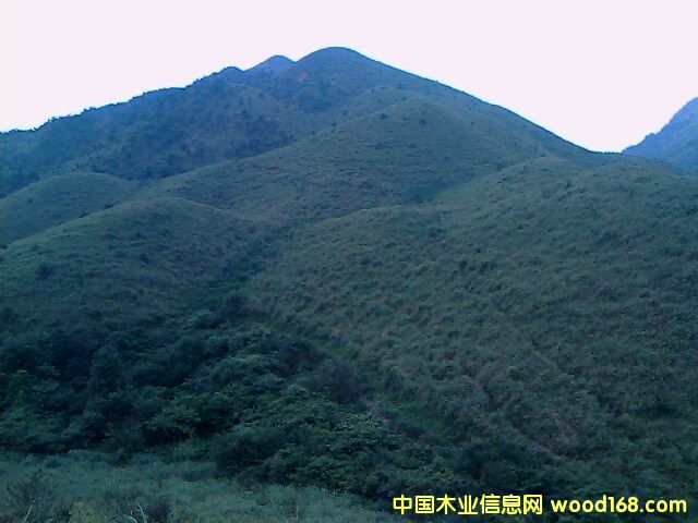 �ֵ����U�а���Ԕ��(x��)��B