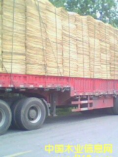 ��Ƥ���ΰ��Ԕ��(x��)��B