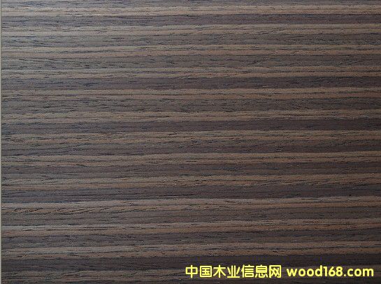 �t��֦023S��Ԕ��(x��)��B