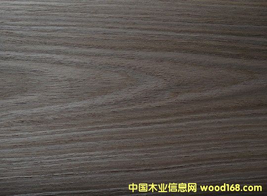 ��ľ��Ԕ��(x��)��B