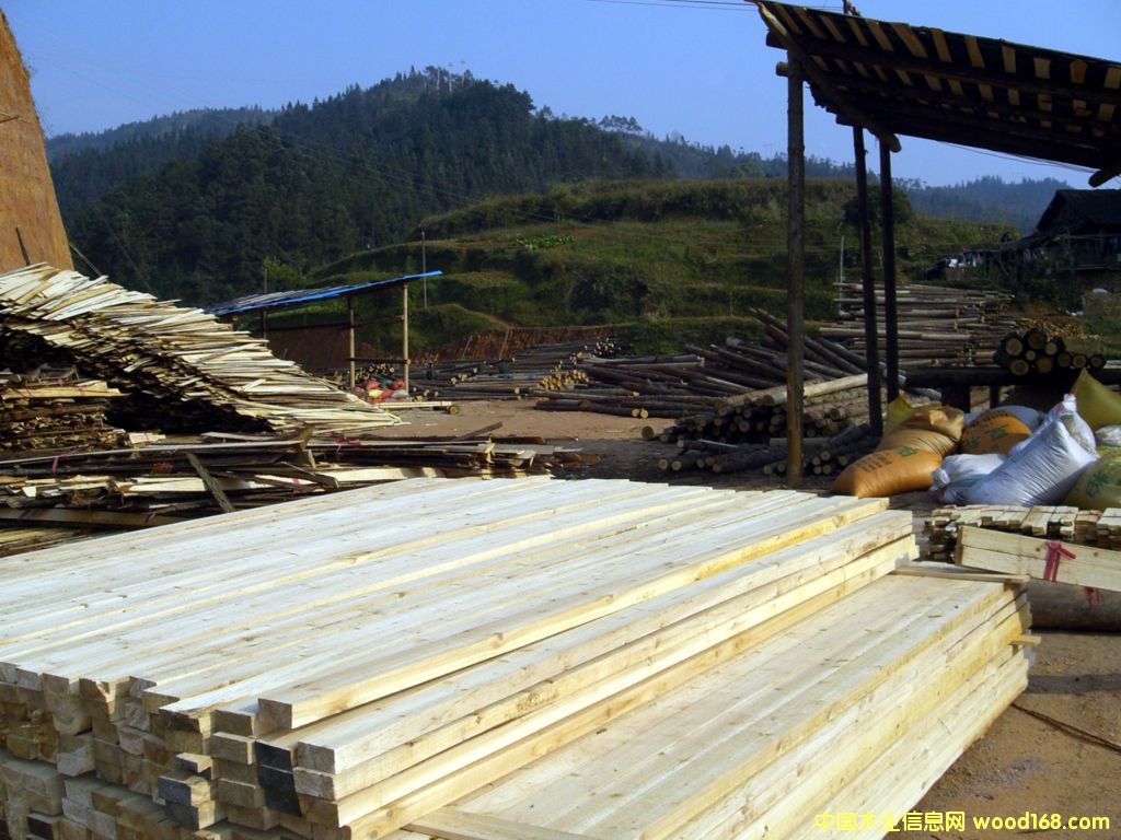 ɼľ��Ԕ��(x��)��B