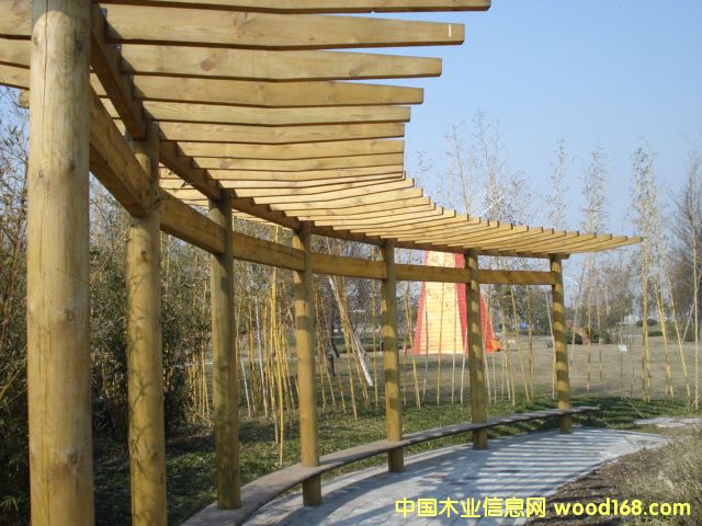 ݗ���ɷ���ľ��Ԕ��(x��)��B