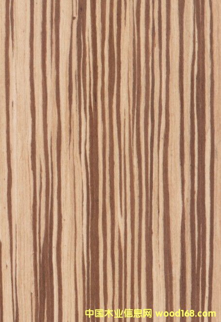 K.Y.Zebrawood#204
