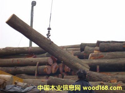 �鶼��˹�һ���ľ��Ԕ��(x��)��B