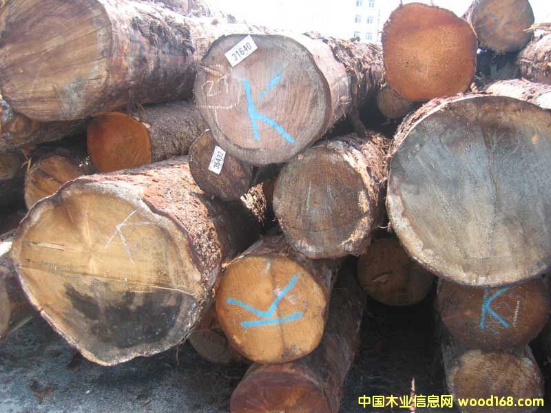 ��ɼԭľ��Ԕ����B