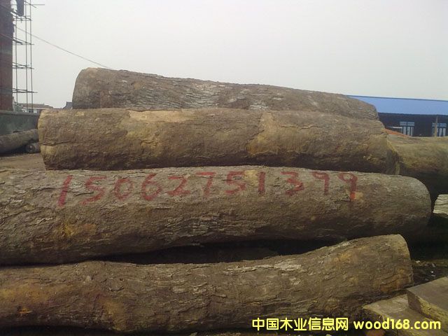 Ƥ�ҵ�Ԕ��(x��)��B