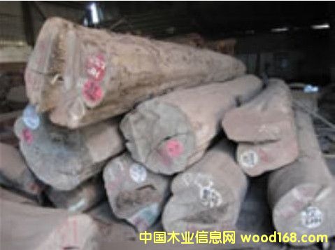 ������ľ��Ԕ��(x��)��B