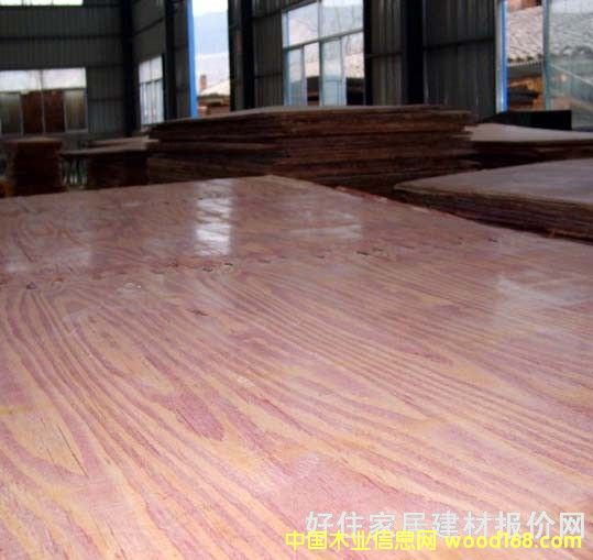 �����T���Ԕ��(x��)��B