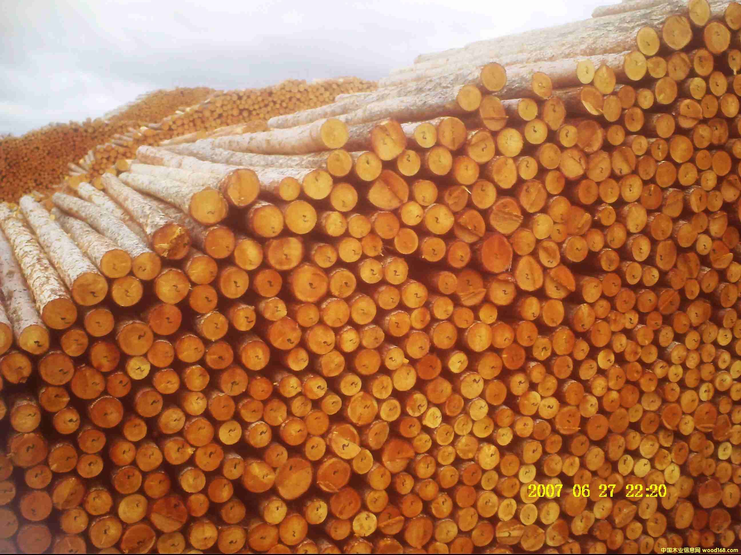 �|��ԭľ��Ԕ��(x��)��B