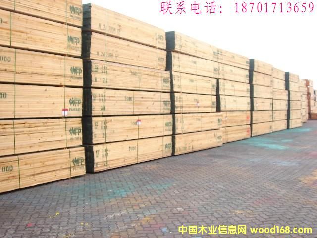 WFP��Ԕ��(x��)��B