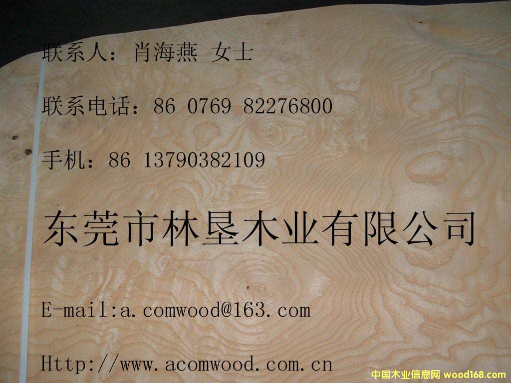 ��˨����