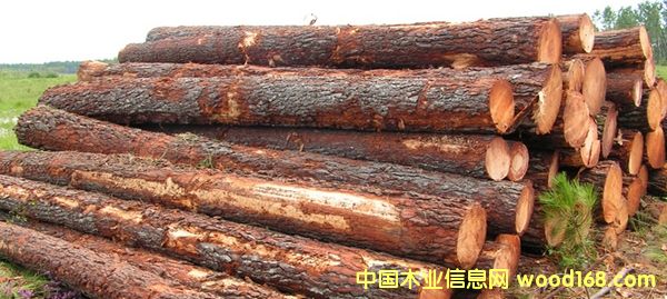 �Ϸ���ԭľ��Ԕ��(x��)��B